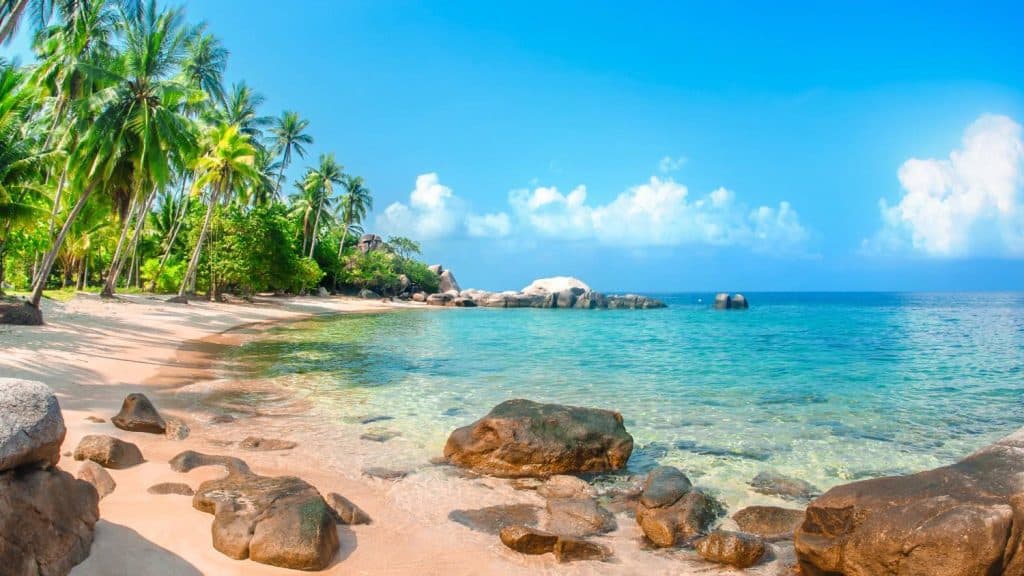 Beautiful tropical beach with palm trees and clear blue water.