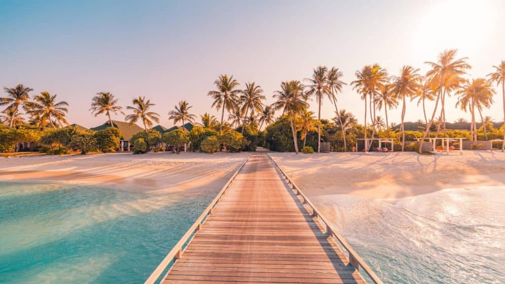 Scenic tropical beach with palm trees and wooden pier at sunset.